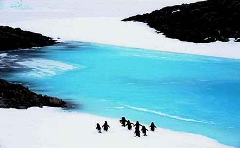 Британские ученые обнаружили под ледниками Антарктиды рифтовую долину