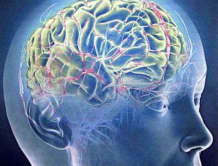 Мозг больного шизофренией регенерирует поврежденные участки