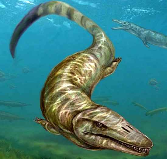 Ученые обнаружили останки рептилии, очень схожей по скелету с пресноводным дельфином.