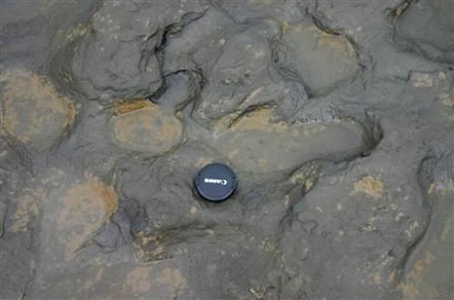 Ученые обнаружили следы человека возрастом 800000-лет в Великобритании