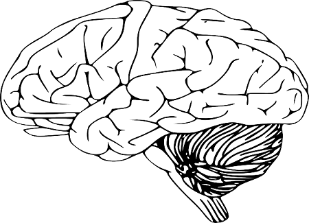 Новый искусственный мозг в электронном виде.