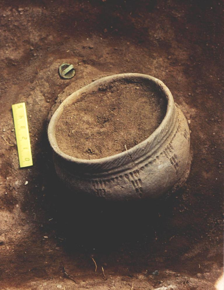 В Гарварде начали изучение археологических раскопок ДВФУ